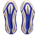 Buty do biegania damskie Asics NOVABLAST 5 Cobalt Burst/White