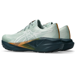 Buty do biegania Asics NOVABLAST 5 TR Nature Bathing/Lichen Rock