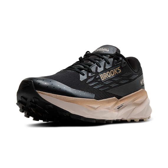 Buty do biegania trailowe Brooks CASCADIA 19 GTX Black/Ebony/Chateau Gray