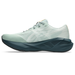 Buty do biegania Asics NOVABLAST 5 TR Nature Bathing/Lichen Rock
