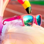 Okulary przeciwsłoneczne GOODR OG Flamingo on a Booze Cruise