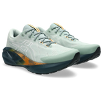 Buty do biegania Asics NOVABLAST 5 TR Nature Bathing/Lichen Rock