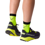 Skarpety do biegania DYNAFIT Alpine Short Socks