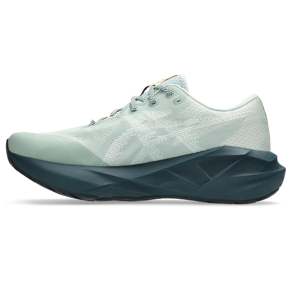 Buty do biegania Asics NOVABLAST 5 TR Nature Bathing/Lichen Rock