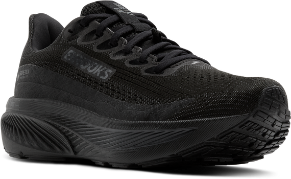 Buty do biegania damskie Brooks GHOST 17 GTX Black/Black/Ebony