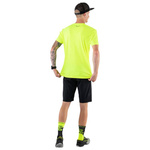 Skarpety sportowe DYNAFIT No Pain No Gain Socks Unisex