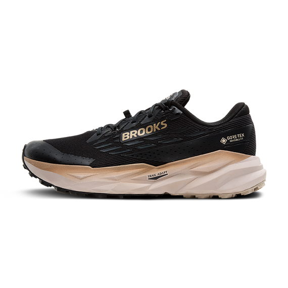 Buty do biegania trailowe Brooks CASCADIA 19 GTX Black/Ebony/Chateau Gray