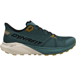 Buty do biegania DYNAFIT TRAIL Atlantic/Black Out