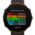 Zegarek treningowy z GPS POLAR VANTAGE M2 czarno-szary