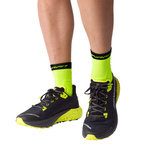 Skarpety do biegania DYNAFIT Alpine Short Socks