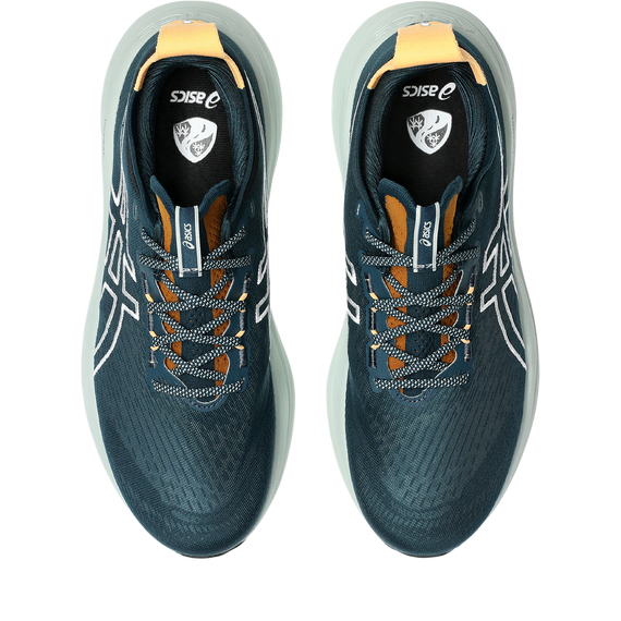 Buty do biegania Asics Gel-Nimbus 27 TR Nature Bathing/Tranquil Teal