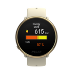 Zegarek treningowy z GPS POLAR IGNITE 2 szampańsko-złoty