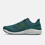 Buty do biegania New Balance M860N12