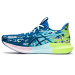 Buty do biegania damskie Asics NOOSA TRI 14